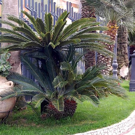 Hotel Ristorante Donato Calvizzano Dış mekan fotoğraf